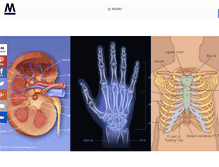 Tablet Screenshot of medicalartlibrary.com